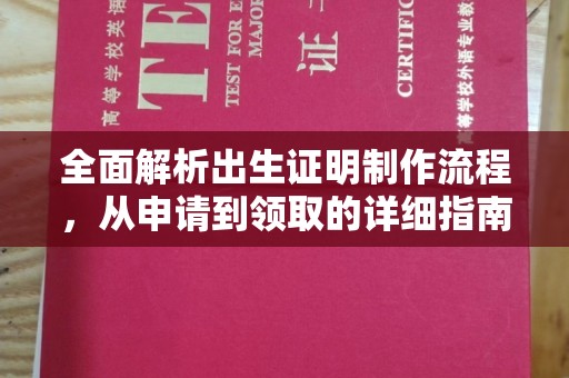 定兴全面解析出生证明制作流程，从申请到领取的详细指南