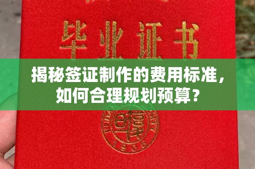 定兴揭秘签证制作的费用标准，如何合理规划预算？