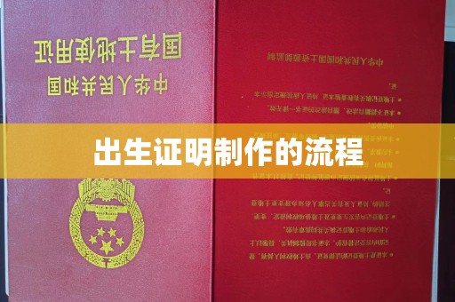 定兴出生证明制作的流程
