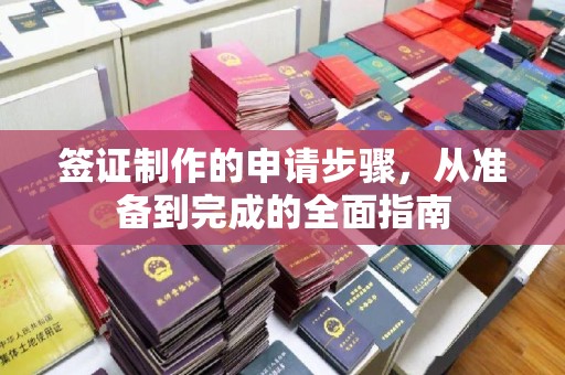 定兴签证制作的申请步骤，从准备到完成的全面指南
