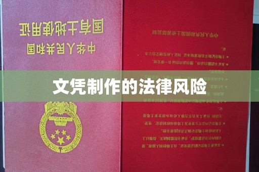 定兴文凭制作的法律风险