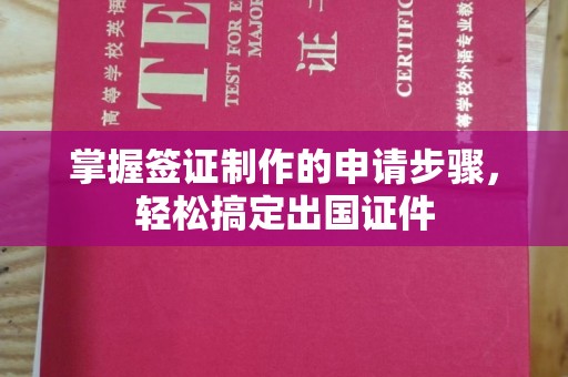 定兴掌握签证制作的申请步骤，轻松搞定出国证件