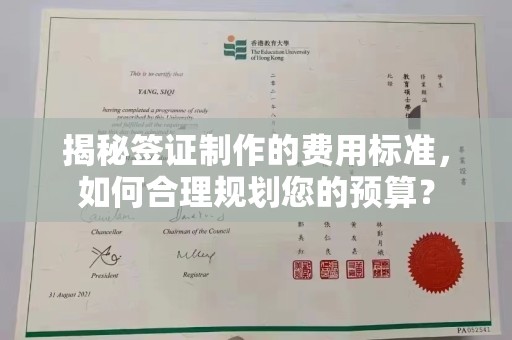 定兴揭秘签证制作的费用标准，如何合理规划您的预算？