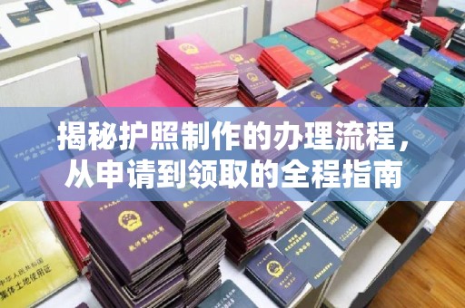 定兴揭秘护照制作的办理流程，从申请到领取的全程指南