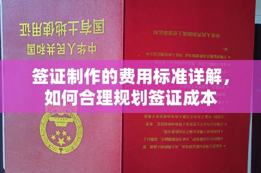 定兴签证制作的费用标准详解，如何合理规划签证成本