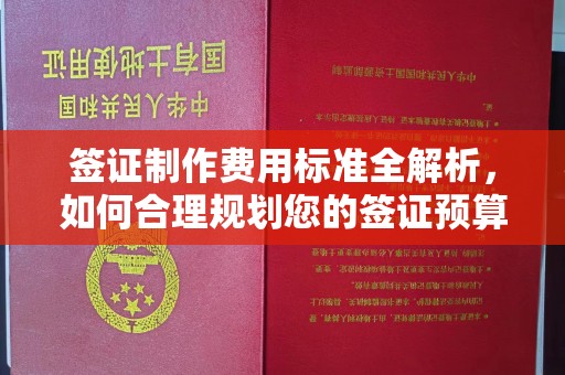定兴签证制作费用标准全解析，如何合理规划您的签证预算？